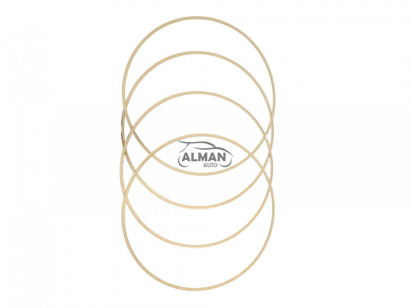 Inele reglaj cilindru motor Tractor U650 - sub cilindru set