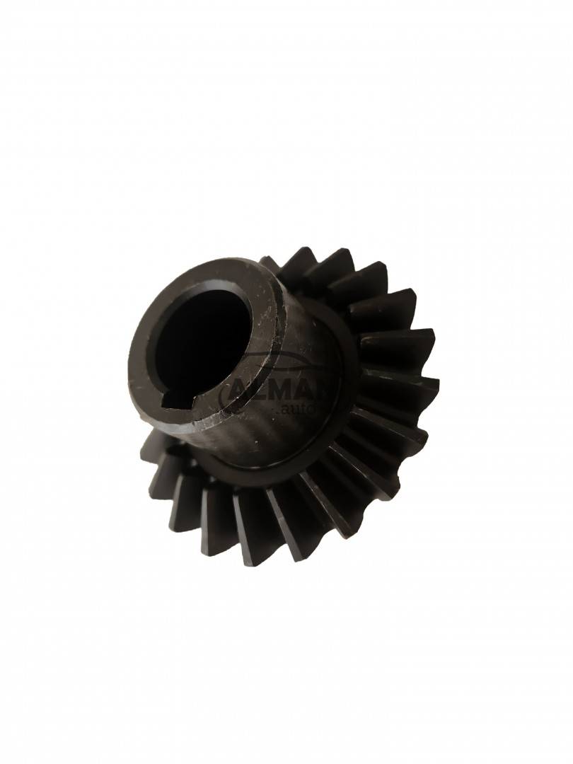 Pinion cositoare Z21